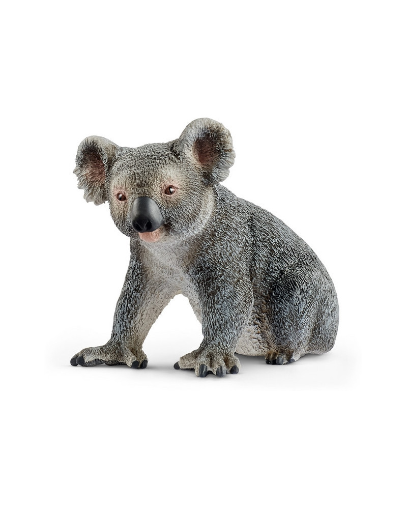KOALA