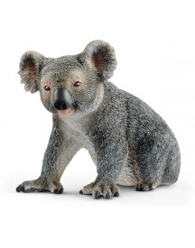 KOALA