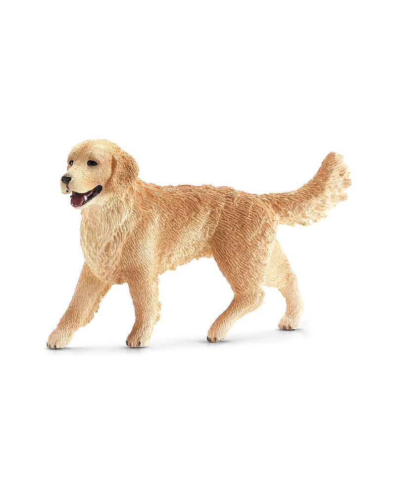GOLDEN RETRIEVER FEMELLE