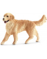 GOLDEN RETRIEVER FEMELLE