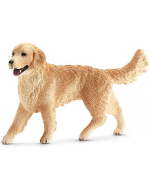 GOLDEN RETRIEVER FEMELLE