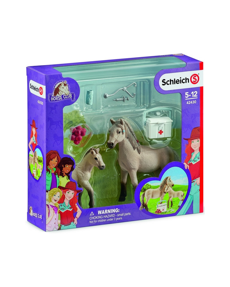 KIT DE SECOURS D'HORSE CLUB HANNAH