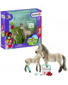 KIT DE SECOURS D'HORSE CLUB HANNAH