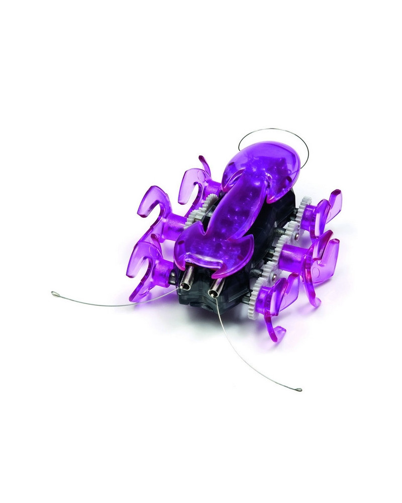HEX BUGS FOURMI