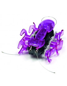 HEX BUGS FOURMI