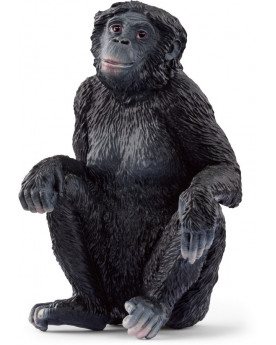 BONOBO FEMELLE