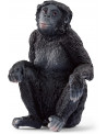 BONOBO FEMELLE