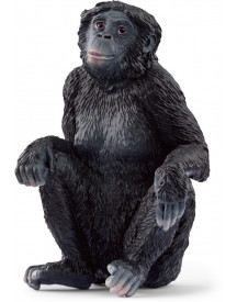 BONOBO FEMELLE