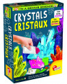 I'M A GENIUS CRISTAUX