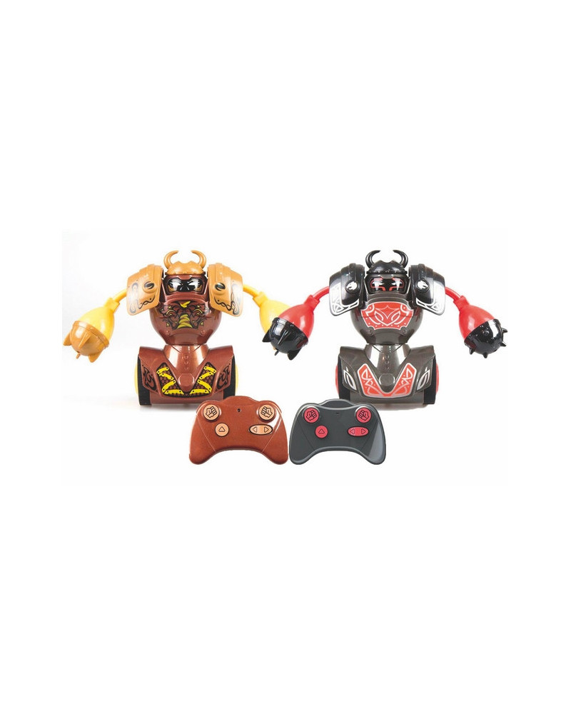 R.C. BATAILLE ROBOT VS VIKINGS