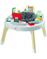 ACTIVITY CENTER 2 EN 1