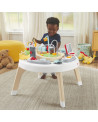 ACTIVITY CENTER 2 EN 1