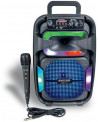 ENCEINTE + MICRO FILAIRE