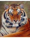 BRODERIE DIAMANT REGARD DE TIGRE + CHASS