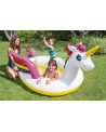 PISCINE LICORNE 272X193