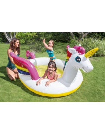 PISCINE LICORNE 272X193