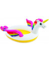 PISCINE LICORNE 272X193