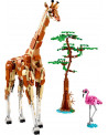 LES ANIMAUX SAUVAGES DU SAFARI