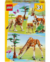 LES ANIMAUX SAUVAGES DU SAFARI