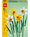 LES JONQUILLES