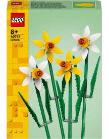 LES JONQUILLES