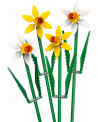 LES JONQUILLES