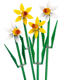 LES JONQUILLES