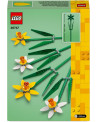 LES JONQUILLES
