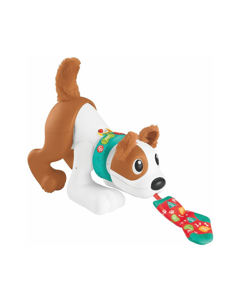 CRAWL WITH ME PUPPY