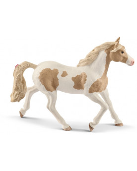 JUMENT PAINT HORSE