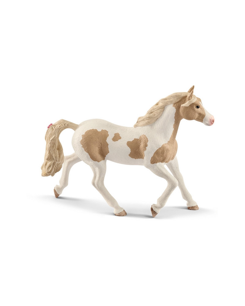 JUMENT PAINT HORSE