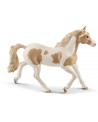 JUMENT PAINT HORSE