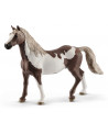 HONGRE PAINT HORSE