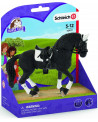 ETALON FRISON CONCOURS EQUESTRE
