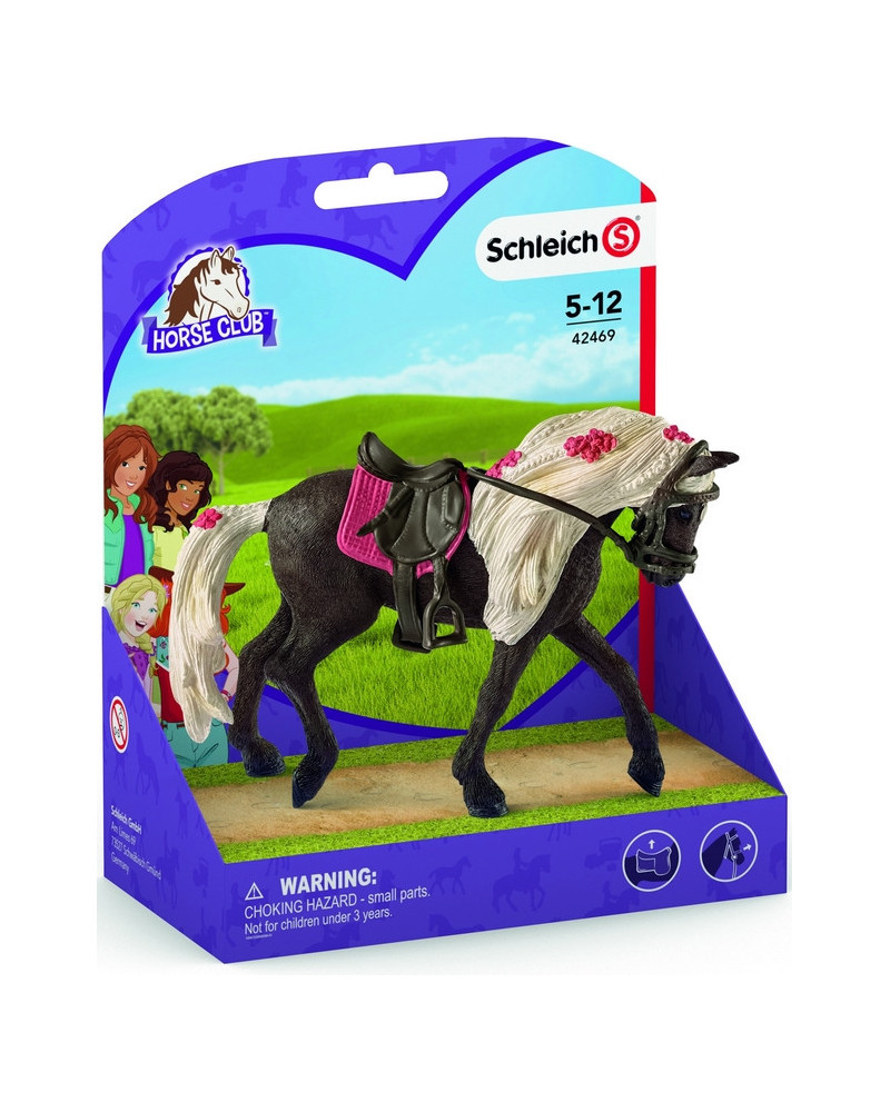 JUMENT ROCKY MOUNTAIN SPECTACLE EQUESTRE