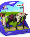 JUMENT ROCKY MOUNTAIN SPECTACLE EQUESTRE