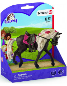 JUMENT ROCKY MOUNTAIN SPECTACLE EQUESTRE