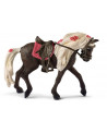 JUMENT ROCKY MOUNTAIN SPECTACLE EQUESTRE