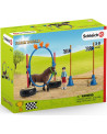 COURSE D'AGILITY POUR PONEY