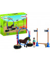 COURSE D'AGILITY POUR PONEY