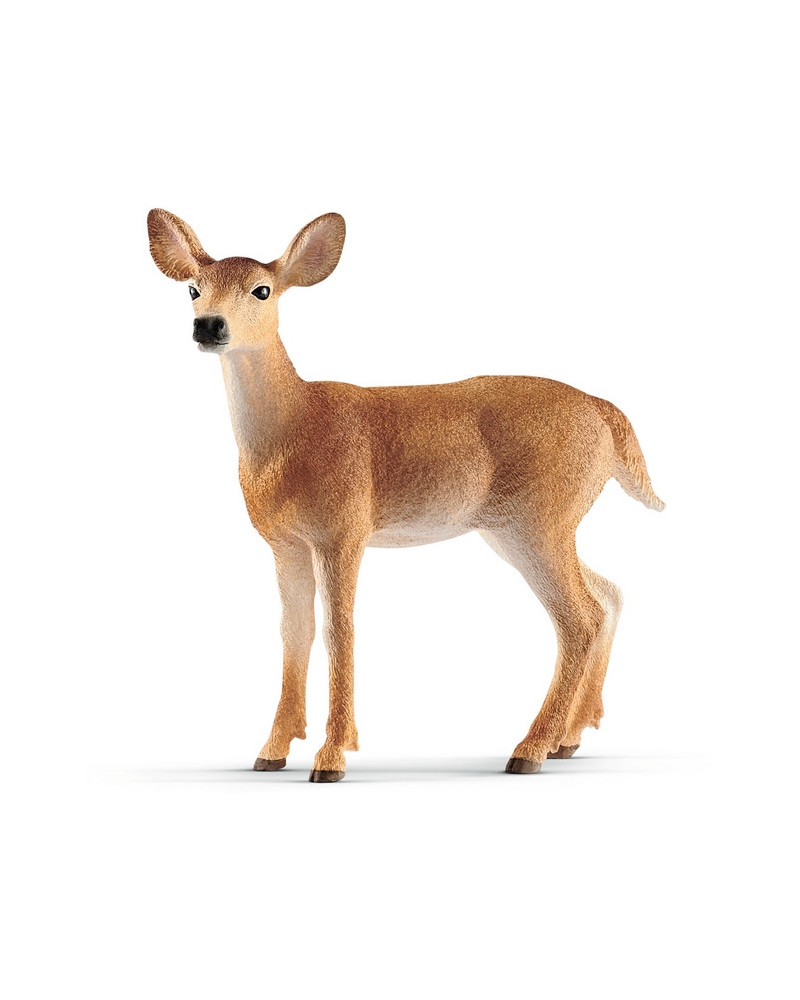 BICHE DE VIRGINIE