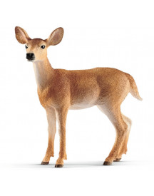BICHE DE VIRGINIE