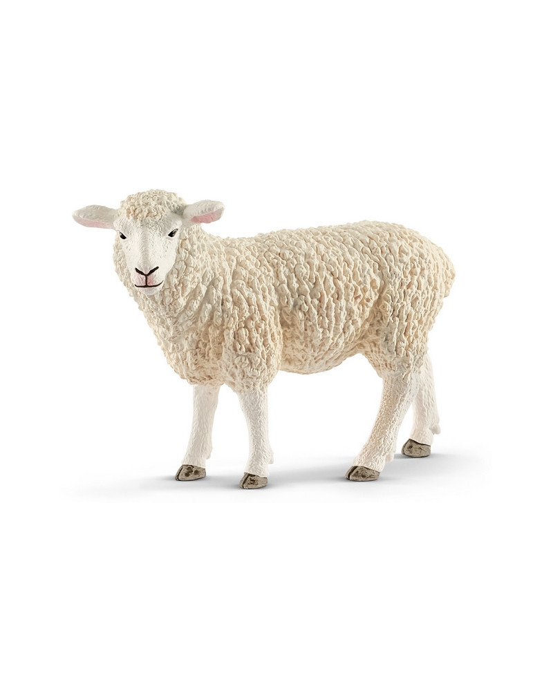 MOUTON