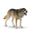 LOUP
