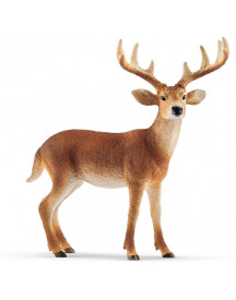 CERF DE VIRGINIE
