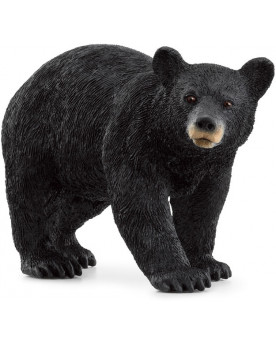 OURS NOIR D'AMÉRIQUE