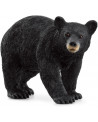 OURS NOIR D'AMÉRIQUE
