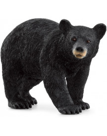 OURS NOIR D'AMÉRIQUE