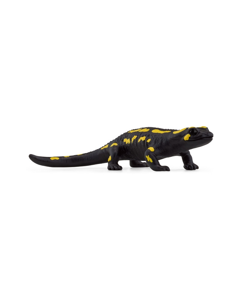 SALAMANDRE DE FEU