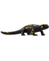 SALAMANDRE DE FEU